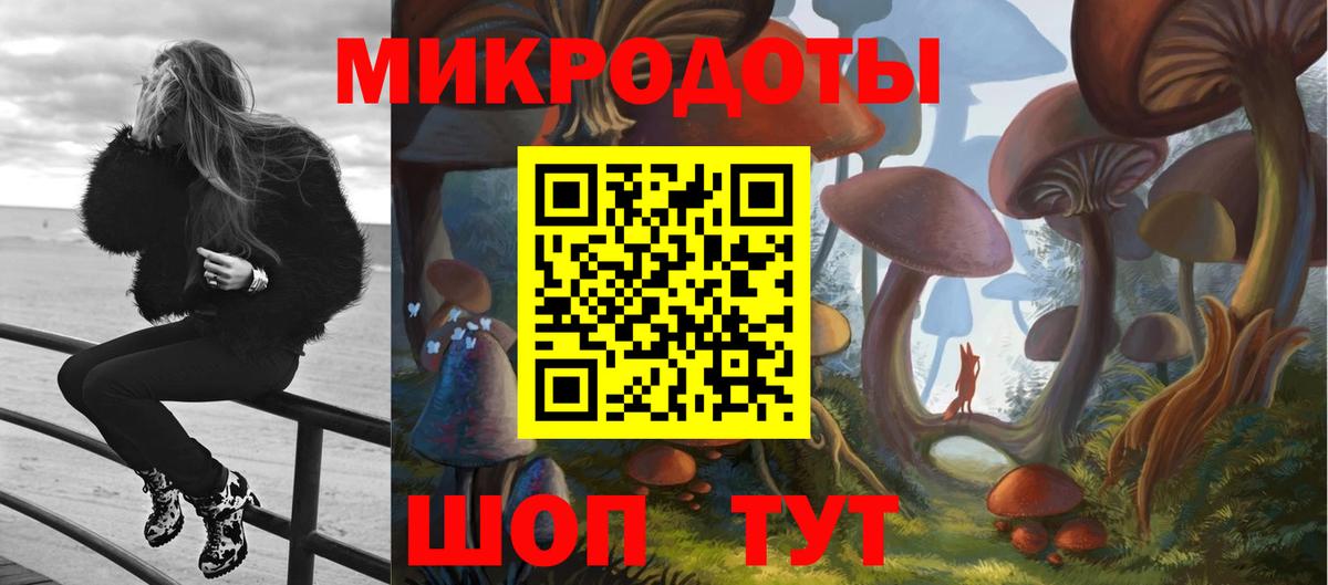 Галлюциногенные грибы мицелий Находка